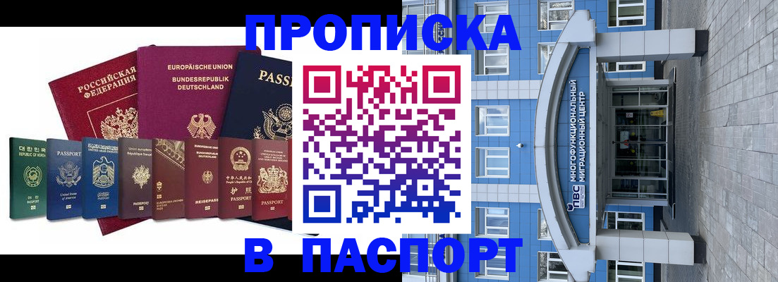 прописка штамп в Борзе